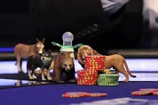 PartyPoker Premier League V