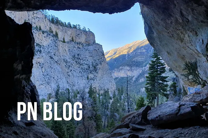 View at Mount Charleston