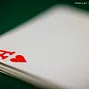 Cards, Chips, WSOP Branding 2024