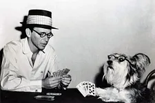 Franck Sinatra sur le set de The Tender Trap