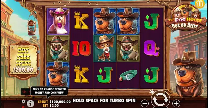 Dog House Dog or Alive