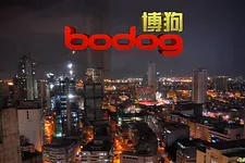 Bodog