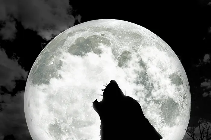 Werewolf is the name of the game that's hot with poker players away from the table right now.