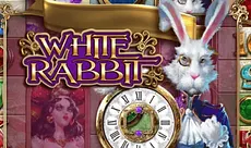 White Rabbit