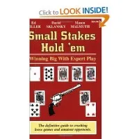 Small Stakes Hold 'em: Winning Big with Expert Play