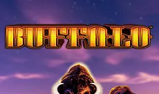 Buffalo Slots