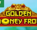Golden Money Frog