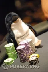 Seidel's lucky penguin