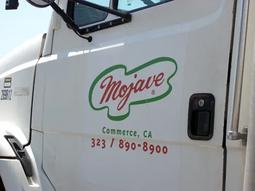 Felipe Mojave em Mudanças - Garoto Esperto 0001