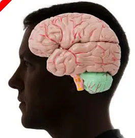 The Poker Shrink, Vol 13 - A Complete Psychology of Hand Analysis 0001