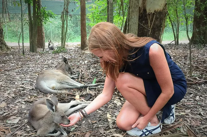 WPT Anchor Lynn Gilmartin's 'Poker Players for Australian Wildlife' initiative has raised almost US$50,000 for charity