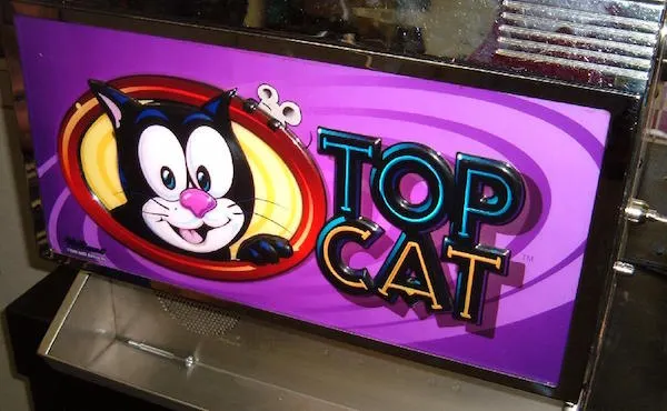 Top Cat