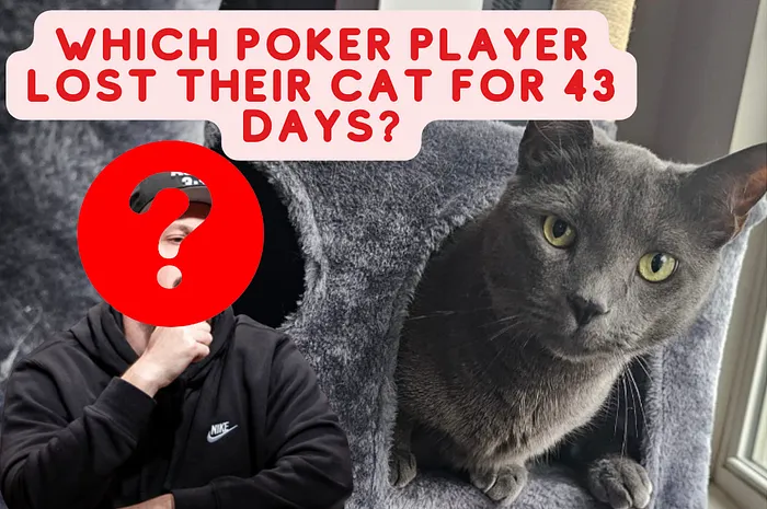 Zach Gruneberg missing cat