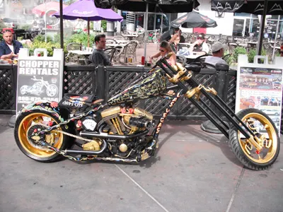 Afinal o Elvis Está Vivo! 106