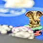 Lucky talisman