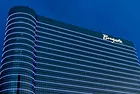 Borgata Branding