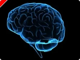 Estudo Universitário: Poker É um  Jogo de Skill 0001