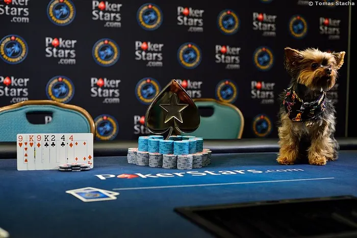 Tout le monde joue au poker