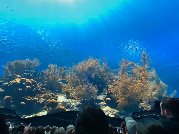 The Sphere Las Vegas