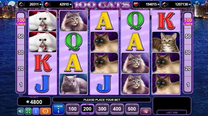 100 cats egt