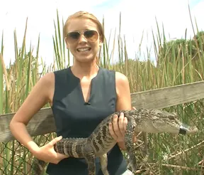 WPT Alpha8 on FOX Sports 1 Florida Part I: The First Hand, Alligators & Mercier's Pad 102