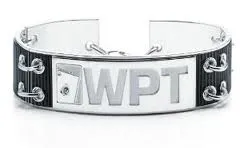 WPT Five Diamonds 2013 : Dan Smith en route vers le Million de dollars 101