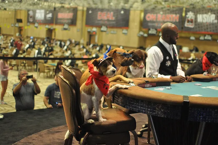 All Mucked Up: 2012 World Series of Poker Day 45 Live Blog 116