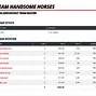 Team Handsome Horses