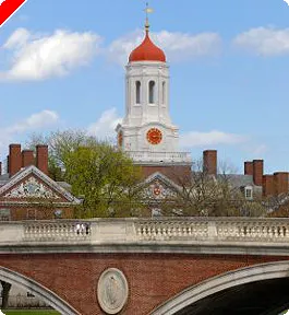 Un professeur de droit d'Harvard utilise le poker comme outil d'enseignement 0001