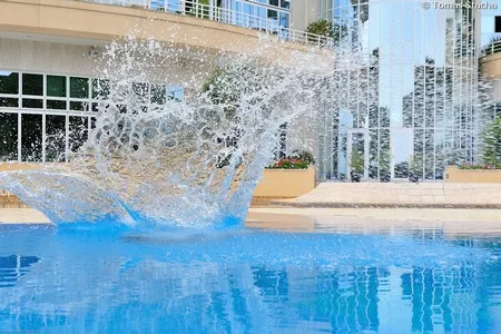 L'ACF en force à Monaco avec les succès de Nico Fraioli, JJ Zeitoun, Jérôme Zerbib et... 109