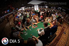 world series of poker