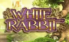 White Rabbit Megaways