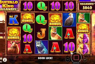 Buffalo King Megaways