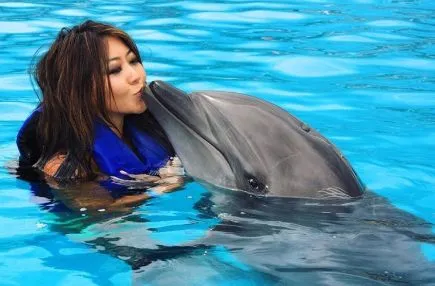 Off the Felt: Jason Koon Getting Engaged, Baby Wheeler & Model Spragg