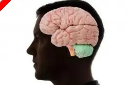 Psychologie Poker : Trouver son équilibre 0001