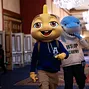Main Event WSOP 2026 Day 4