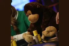 Stratégie Poker : Un lion qui copie un lion devient un singe
