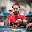 Daniel Negreanu