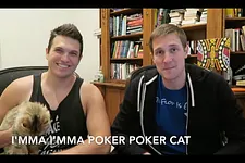 Poker cat rap? Yes.