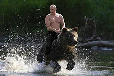 russia bear