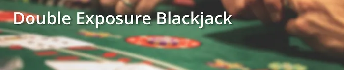 Double Exposure Blackjack