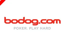 Bodog Perde O Nome do Site no Caso da Patente 0001