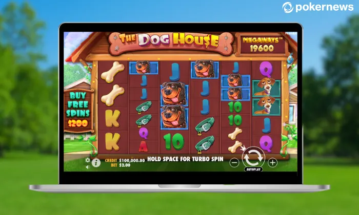 the dog house megaways