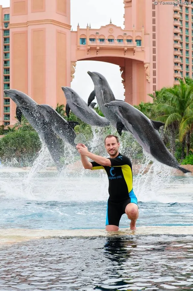 Un vainqueur de Flipout vraiment chanceux