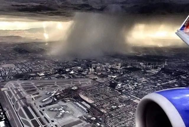 Les insolites en direct de Las Vegas 101