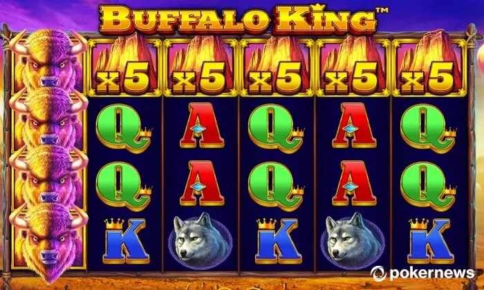 Play Buffalo King