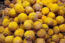 big prime everest poker coco-tea