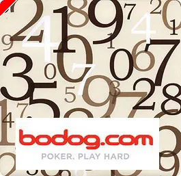 Gerador numérico da Bodog Poker recebeu Certificação 0001