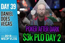 Daniel Negreanu - Vlogs