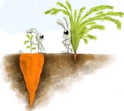 Statistiques poker : différencier les joueurs larges et serrés grâce au VPIP 101